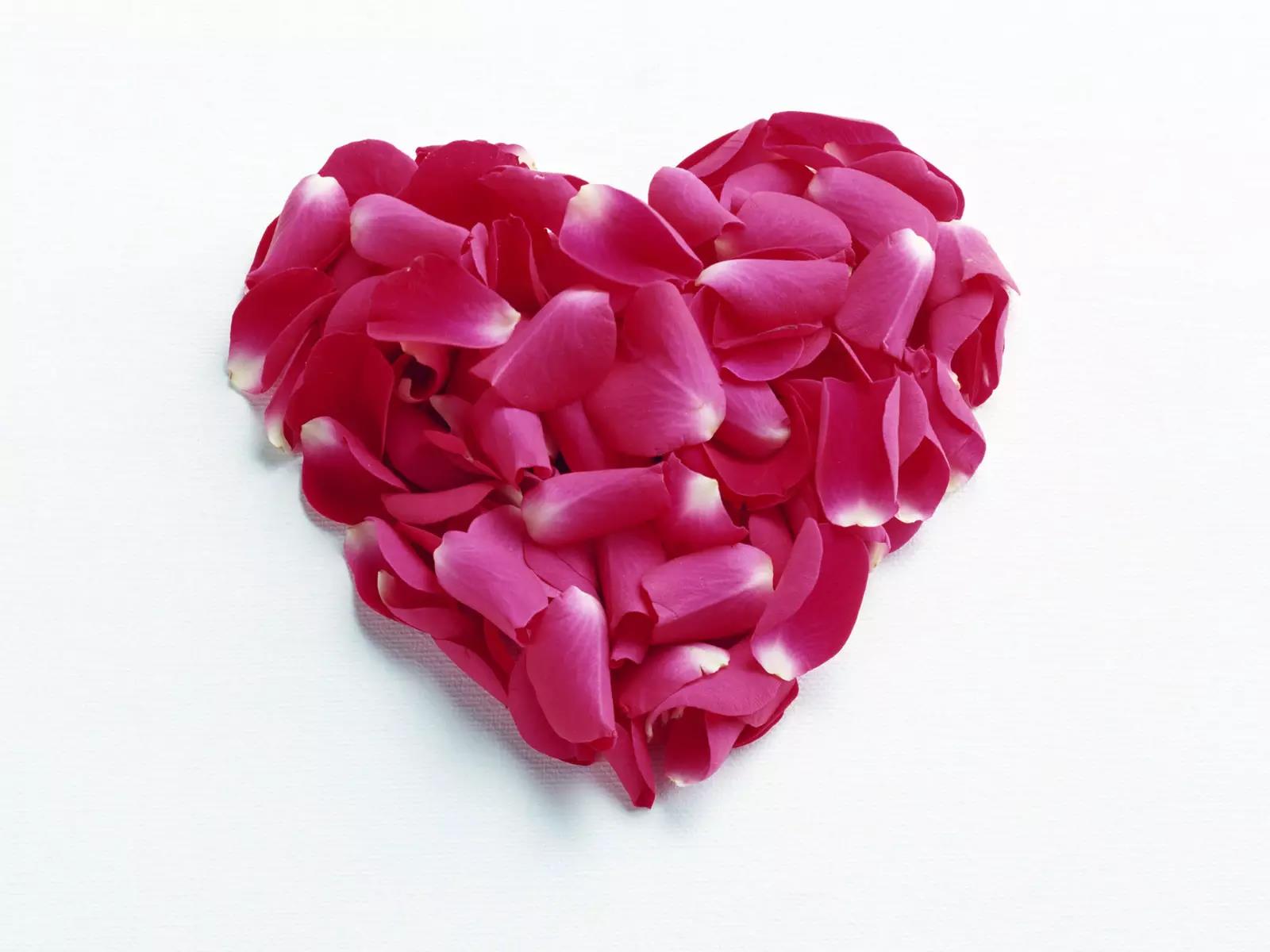 15154223bc6687d5a98833.jpg 85c4ffa.jpg