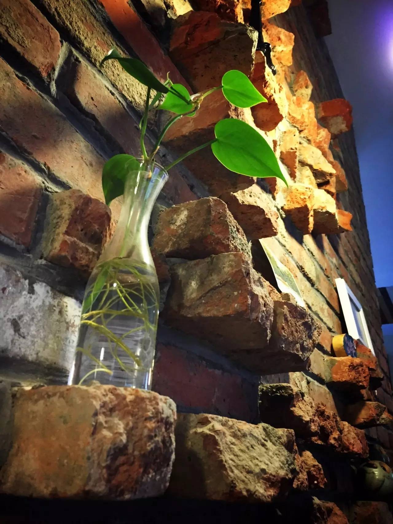 2410203798dd5104494663.jpg 2410203798dd5104494663.jpg