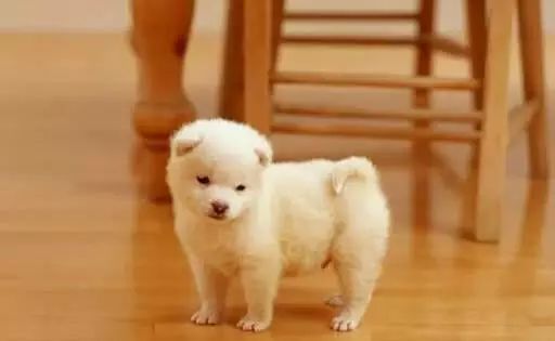 261041138ffc0790da3716.jpg 微信圖片_20170926101920.jpg