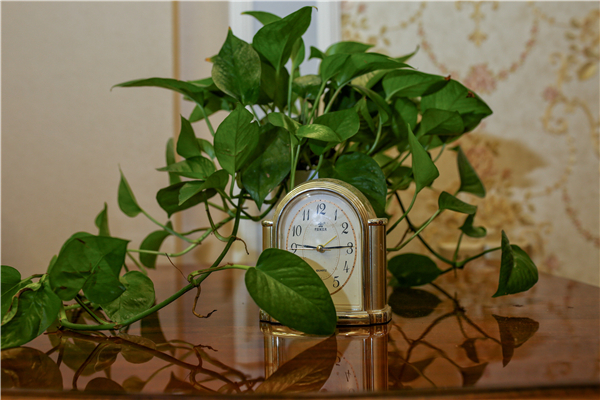 30134609f857fc71674751.jpg 飾品特寫.JPG