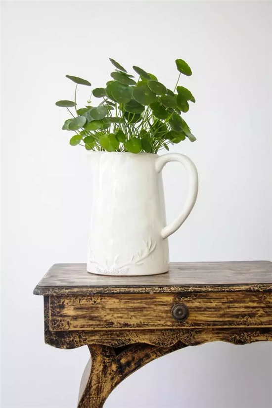 27105512d87bc57e582816.jpg h550w825-5a40f1375ddde.jpg