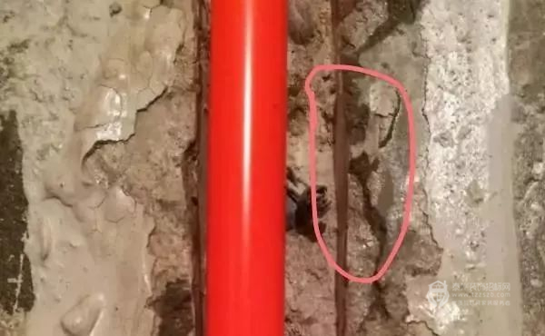 080942464c62a4e6d46023.jpg 2.jpg