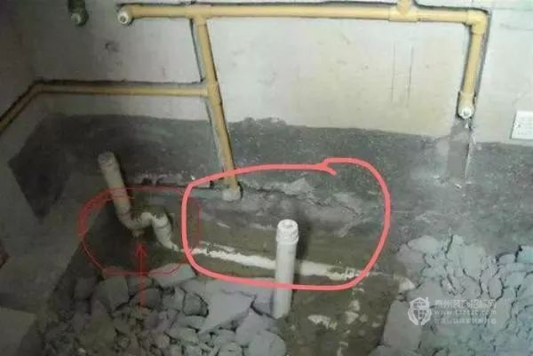 08094302371265ba2d5412.jpg 4.jpg