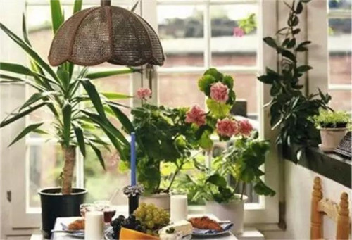 181019135e204e8cfd6395.jpg h500w341-5a5ec34531650.jpg