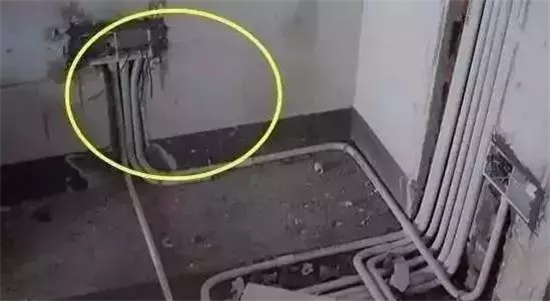 23110325ef58da70934322.jpg h550w301-5a406adb32344.jpg