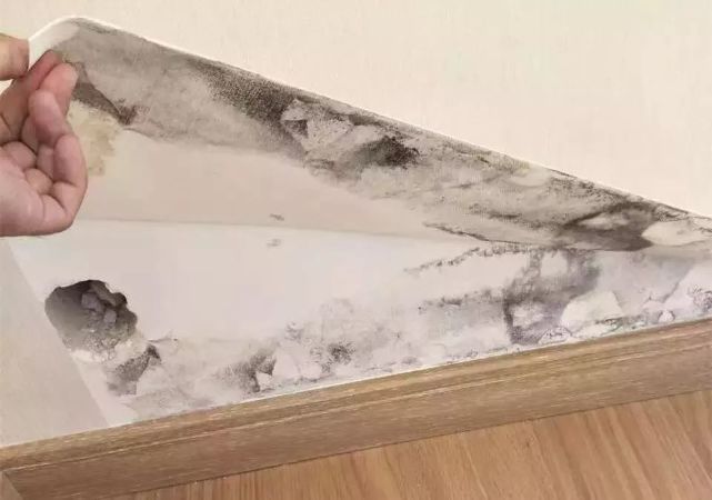 031129466d11e2f39b5899.jpg 微信圖片_20180303111839.jpg