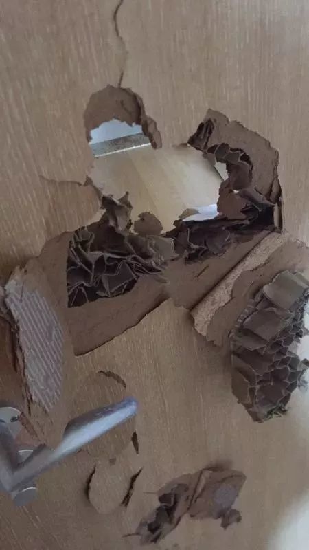 0311315744b7db7f608415.jpg 微信圖片_20180303111858.jpg