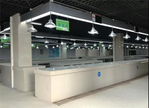 06095058bbb405730a0656.jpg 33.jpg