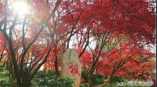 0609562937c06f152e6792.jpg 48.jpg