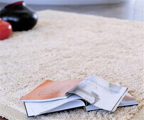 22105755f14d3834797133.jpg h500w416-5b02aa5dae96e.jpg