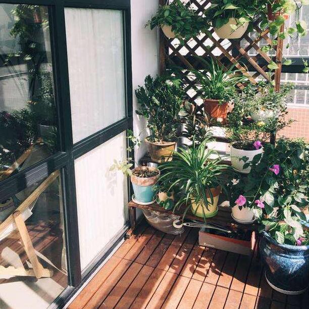 151449407102e633e08910.jpg h612w612-5a605d915618a.jpg