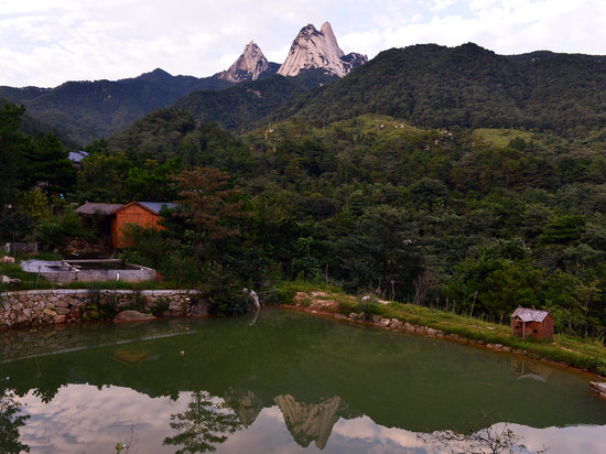 25153054e522031ea25056.jpg h550w412-5a38c4f758f84.jpg