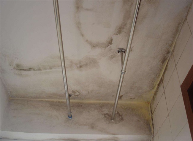 110950056d23b2877c5073.jpg 1533549086128_000.jpg