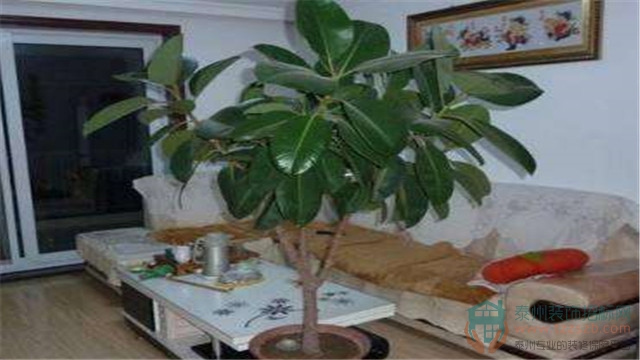 071016072ec4f514ca7424.jpg 17.jpg