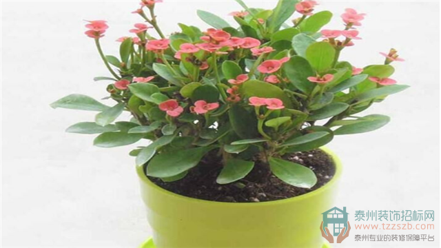 09100929287c0703bd9035.png 4.png