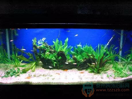 191013402c546b83072078.jpg 9.jpg