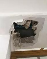 19100946cff64d28776584.jpg 13.jpg