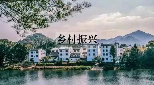 2513443768c43d1d428995.jpg 1.jpg