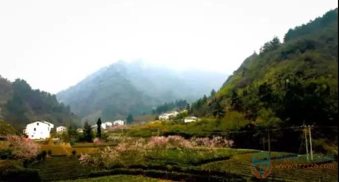 25134607a81e27a9e05510.jpg 4.jpg