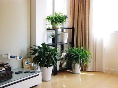 291518105b42e325389264.jpg 2.jpg