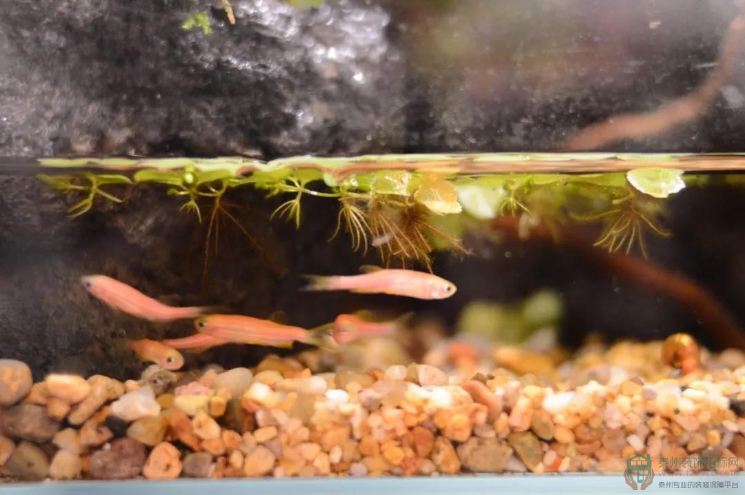 13100228ca7b71d5593719.jpg 3.jpg