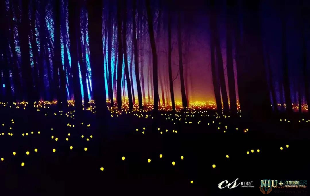 16184147a2f4c7f75d6318.jpg 泰州裝飾招標(biāo)網(wǎng)3.jpg