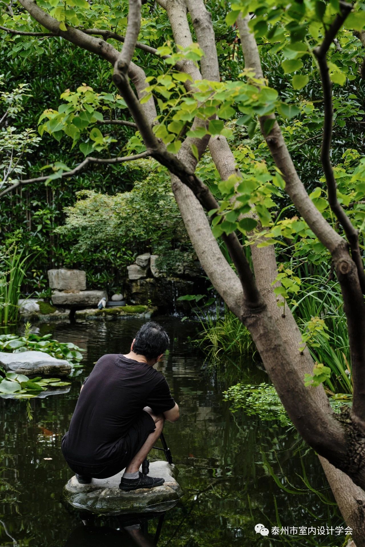 02133828b70a702d124563.jpg 18.jpg